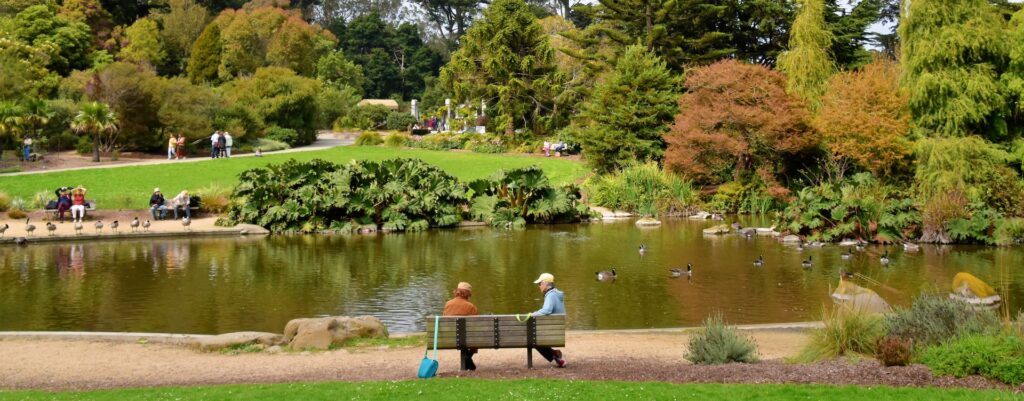 People on a park bench near a pond surrounded by trees in Golden State Park.